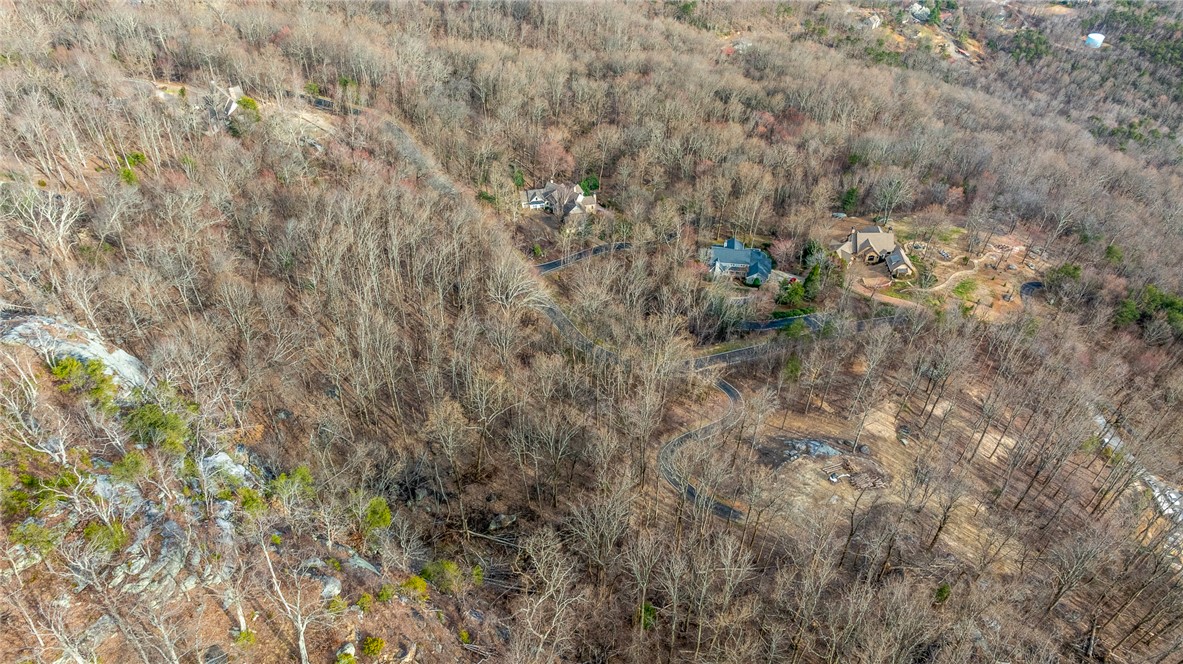 0 High Country Way Landrum, SC 29356 - Photo 14 of 16