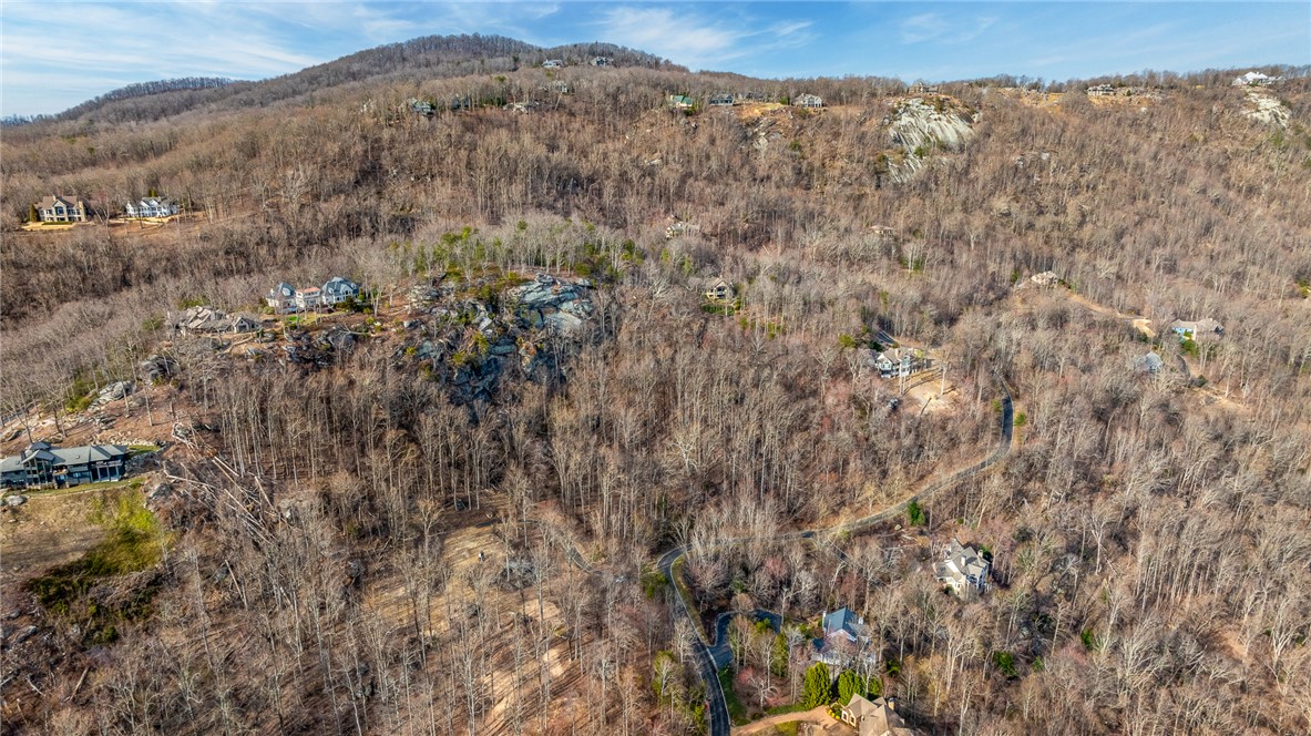0 High Country Way Landrum, SC 29356 - Photo 15 of 16