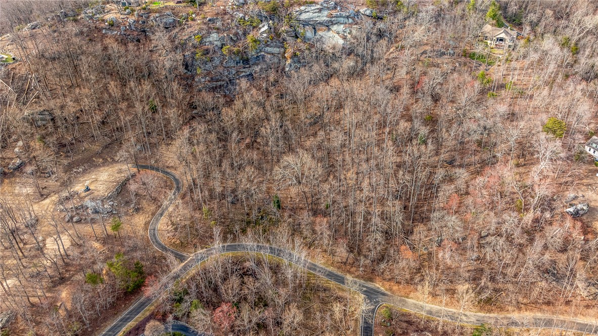 0 High Country Way Landrum, SC 29356 - Photo 16 of 16