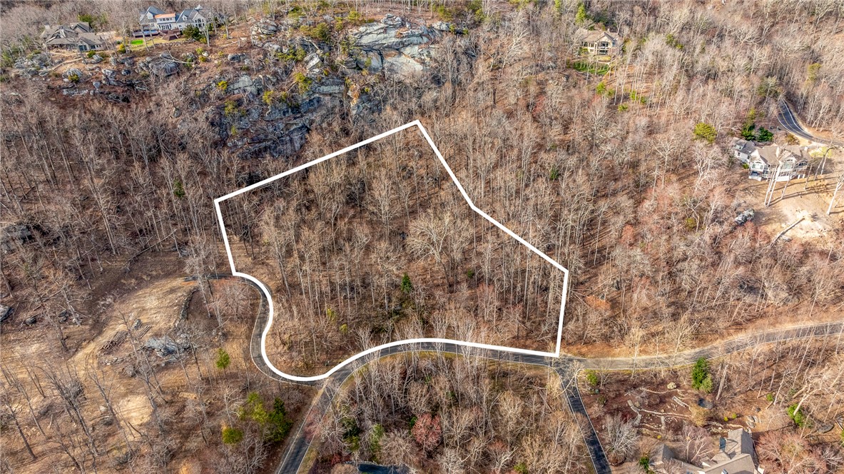 0 High Country Way Landrum, SC 29356 - Photo 3 of 16