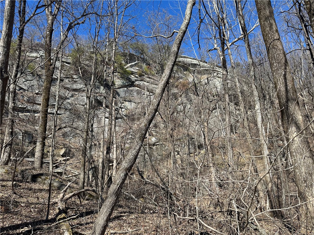 0 High Country Way Landrum, SC 29356 - Photo 5 of 16