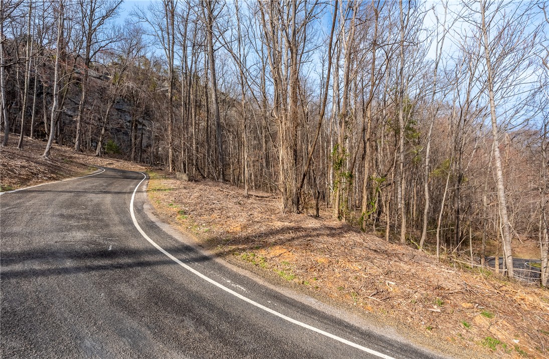 0 High Country Way Landrum, SC 29356 - Photo 6 of 16