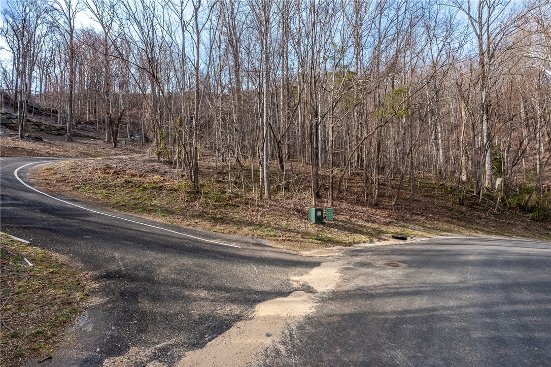 0 High Country Way Landrum, SC 29356 - Photo 7 of 16