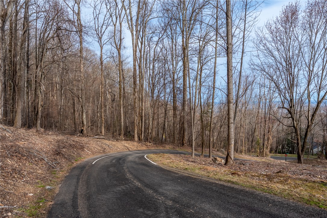 0 High Country Way Landrum, SC 29356 - Photo 8 of 16
