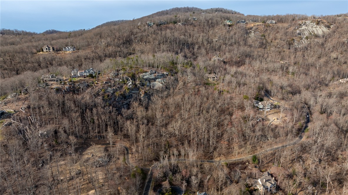 0 High Country Way Landrum, SC 29356 - Photo 9 of 16