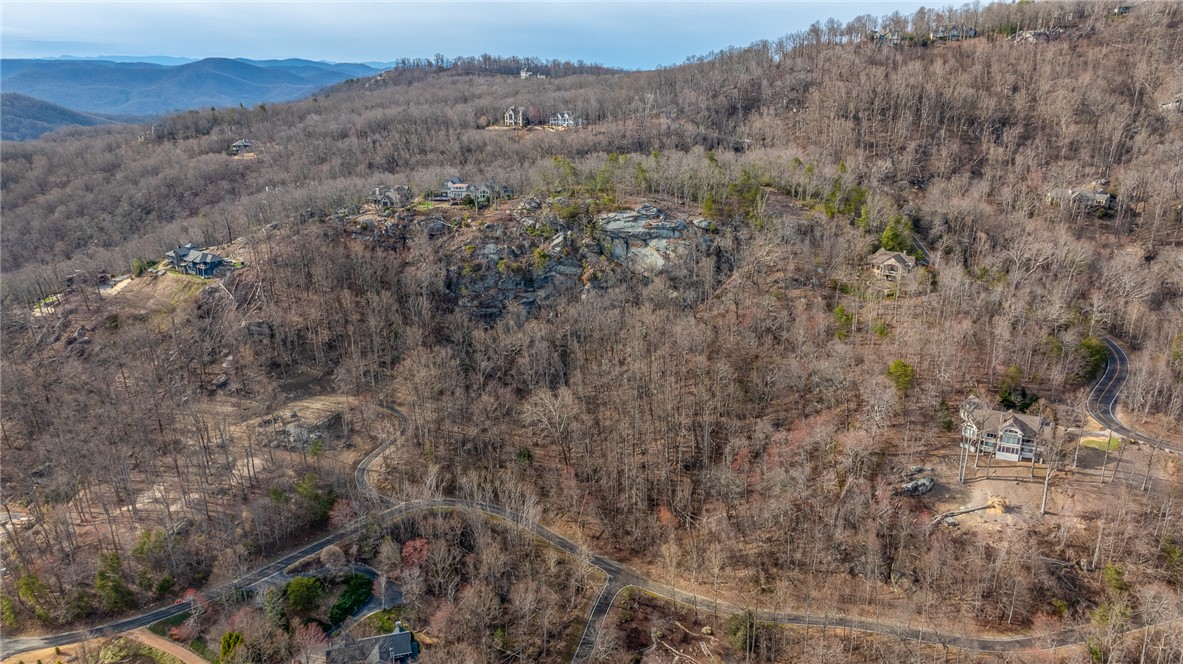 0 High Country Way Landrum, SC 29356 - Photo 10 of 16