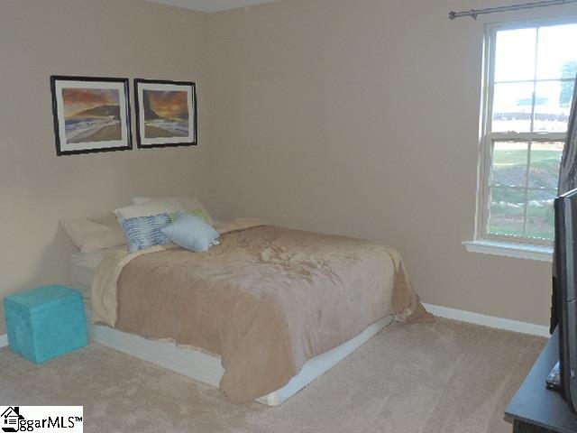 302 Forked Oak Way Fountain Inn, SC 29644 - Photo 14 of 22 Gallery Image 14
