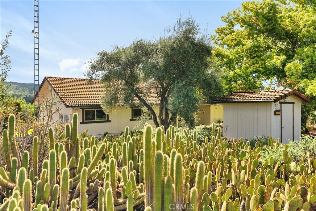 32 Mission Olive Road Oroville, CA 95966 - Photo 32 of 52