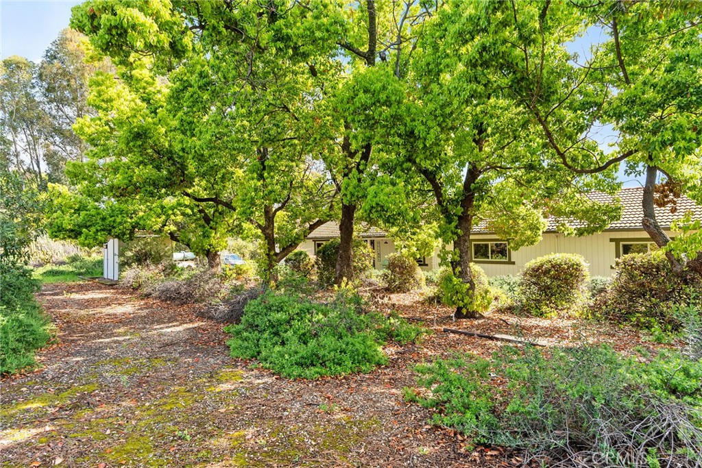 32 Mission Olive Road Oroville, CA 95966 - Photo 40 of 52 a view of a yard with plants and large trees