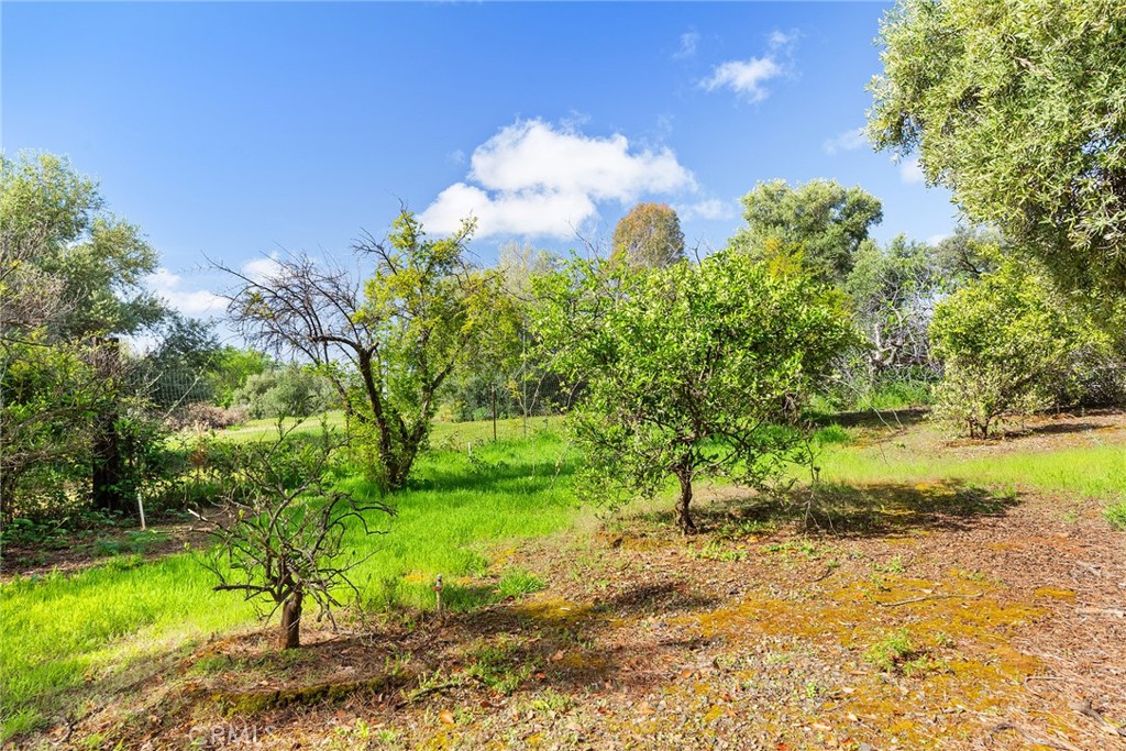 32 Mission Olive Road Oroville, CA 95966 - Photo 41 of 52 a view of a lake with a yard