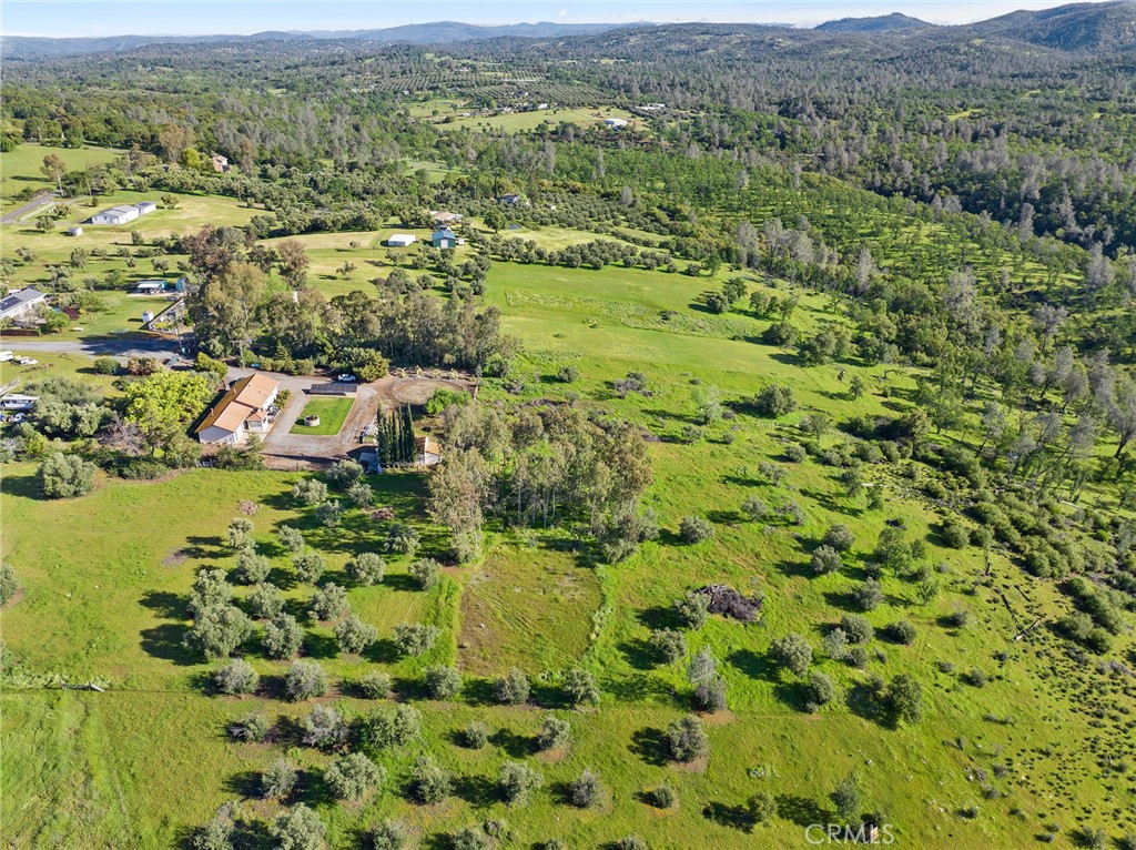 32 Mission Olive Road Oroville, CA 95966 - Photo 45 of 52 a view of a lush green field with lots of plants in it