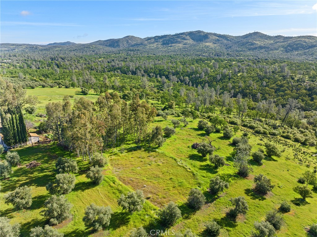 32 Mission Olive Road Oroville, CA 95966 - Photo 46 of 52 a view of a lush green hillside and houses