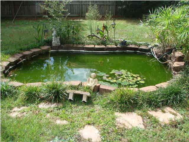 9115 Byrom Campbell Road Pace, FL 32571 - Photo 22 of 25 Koi Pond