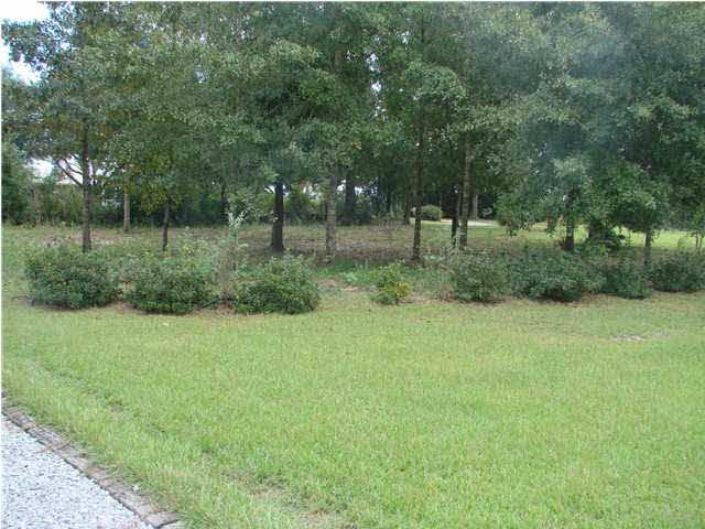 9115 Byrom Campbell Road Pace, FL 32571 - Photo 4 of 25 Looking Towards Road from Front Porch