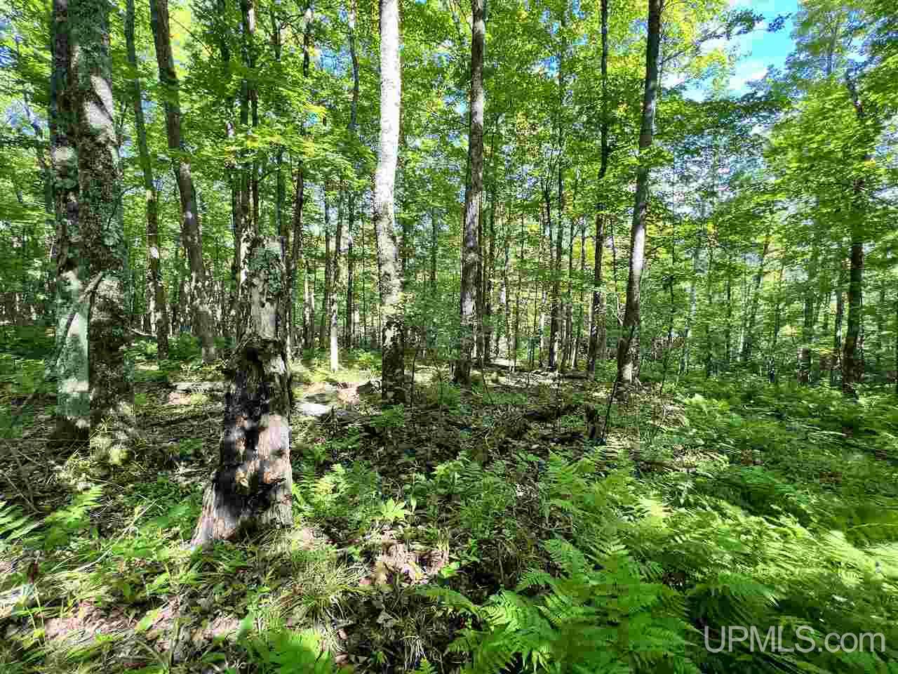 Tbd Pirkola Road Watton, MI 49970 - Photo 17 of 29