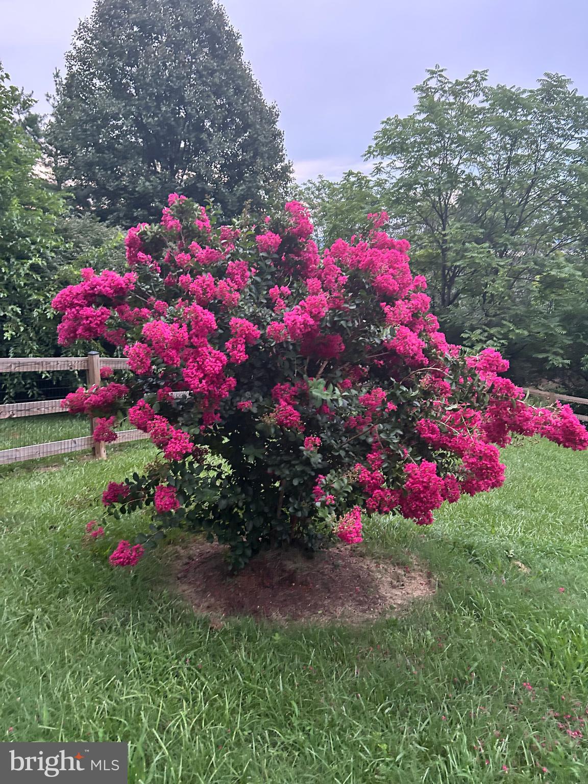 3466 Middle Road Winchester, VA 22602 - Photo 43 of 56