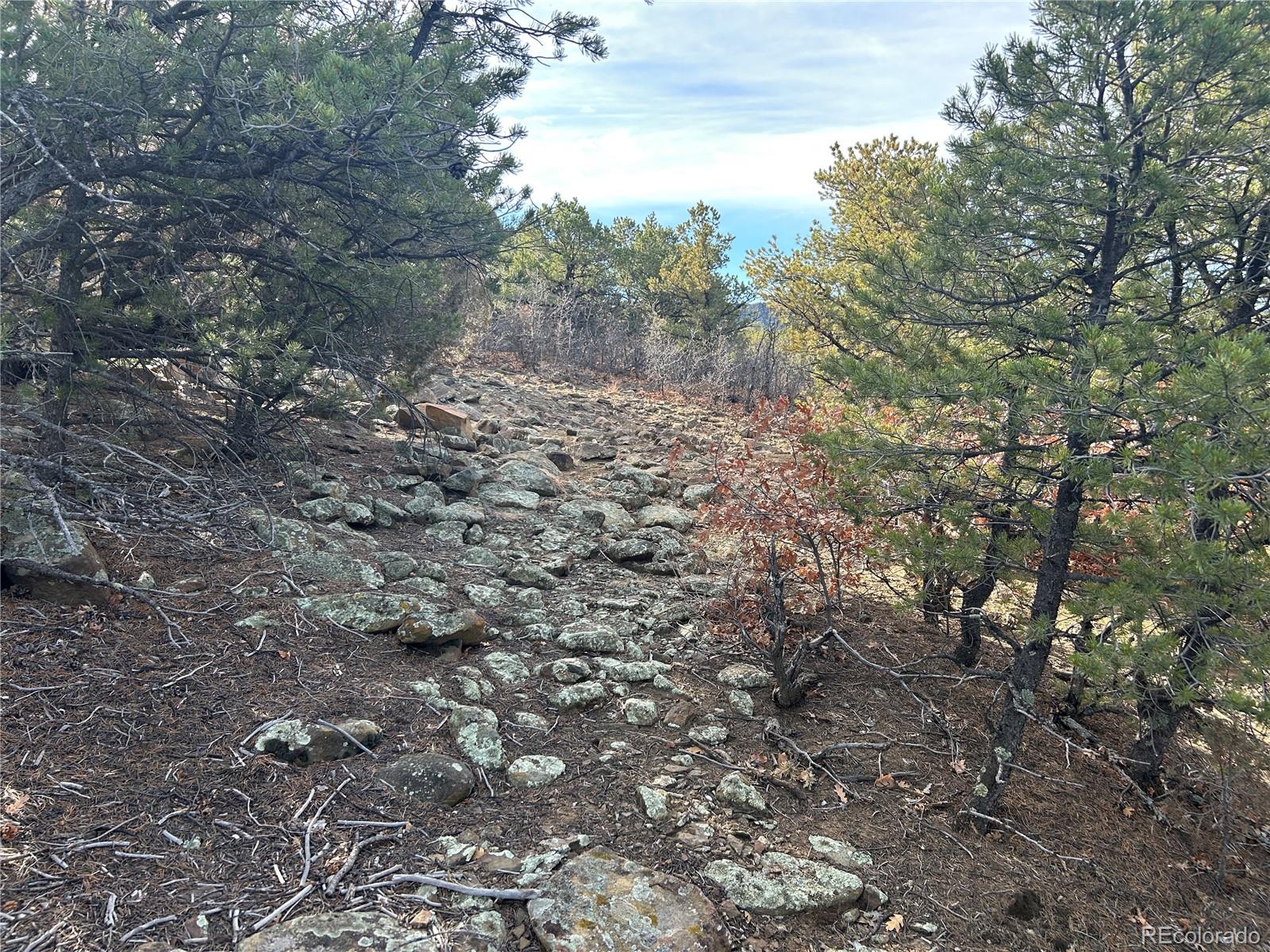 Lot 142 Silver Spurs Ranch Walsenburg, CO 81089 - Photo 11 of 26 a view of a yard with a tree