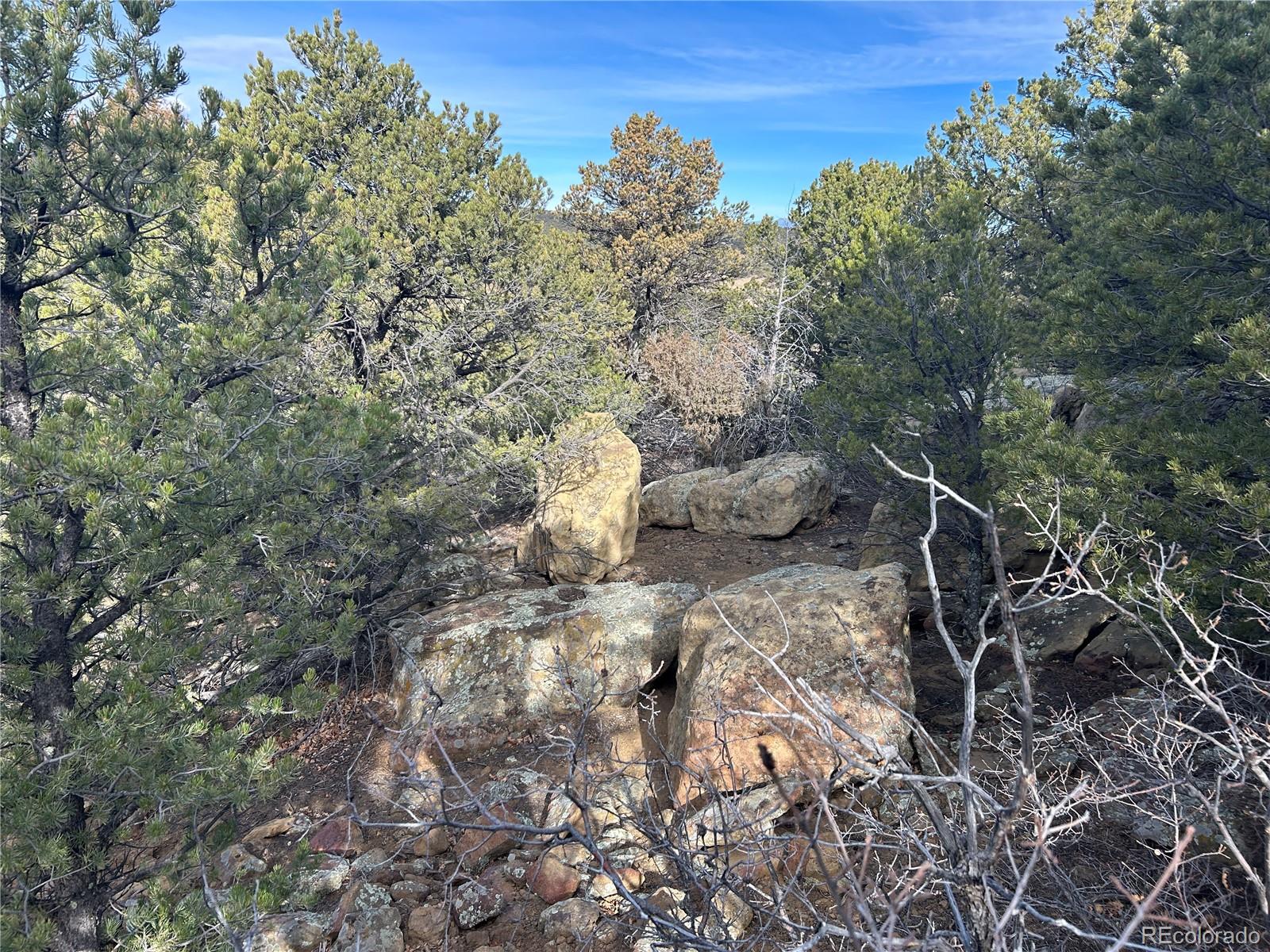 Lot 142 Silver Spurs Ranch Walsenburg, CO 81089 - Photo 16 of 26 a view of a forest with a tree
