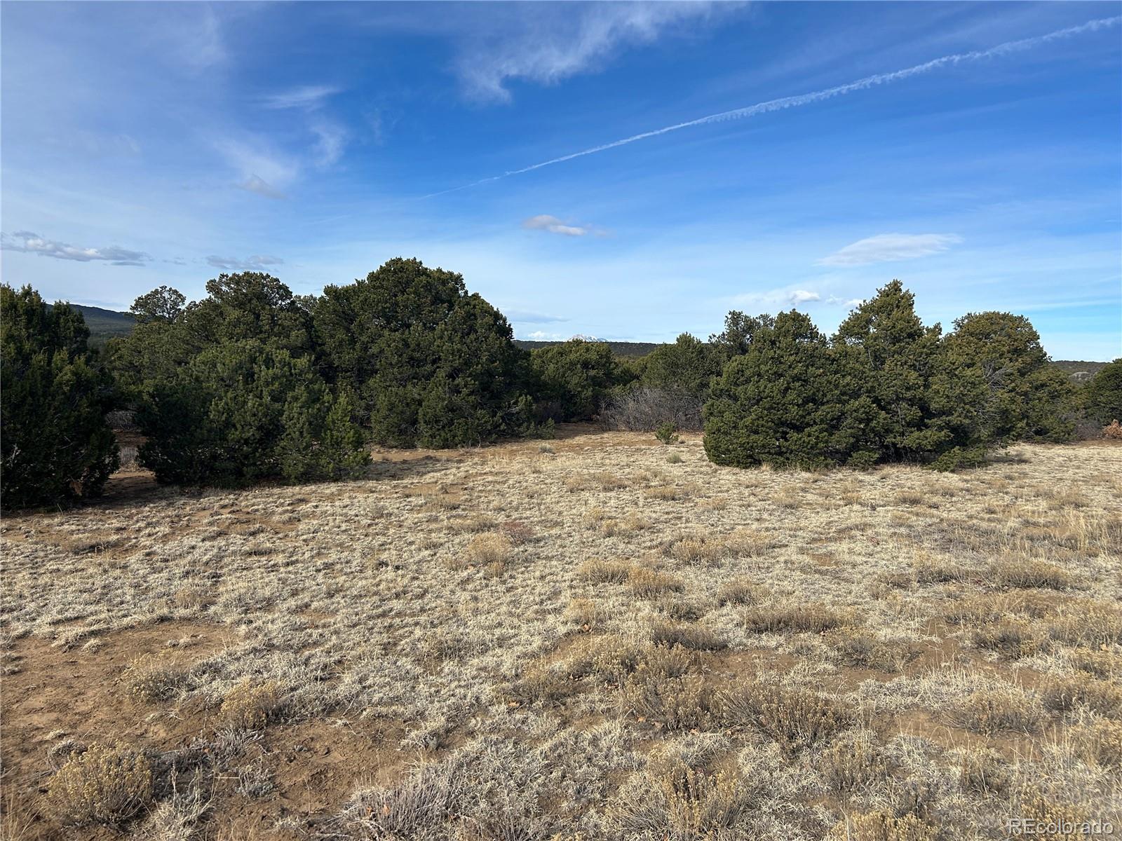 Lot 142 Silver Spurs Ranch Walsenburg, CO 81089 - Photo 21 of 26 a view of a dry yard with trees