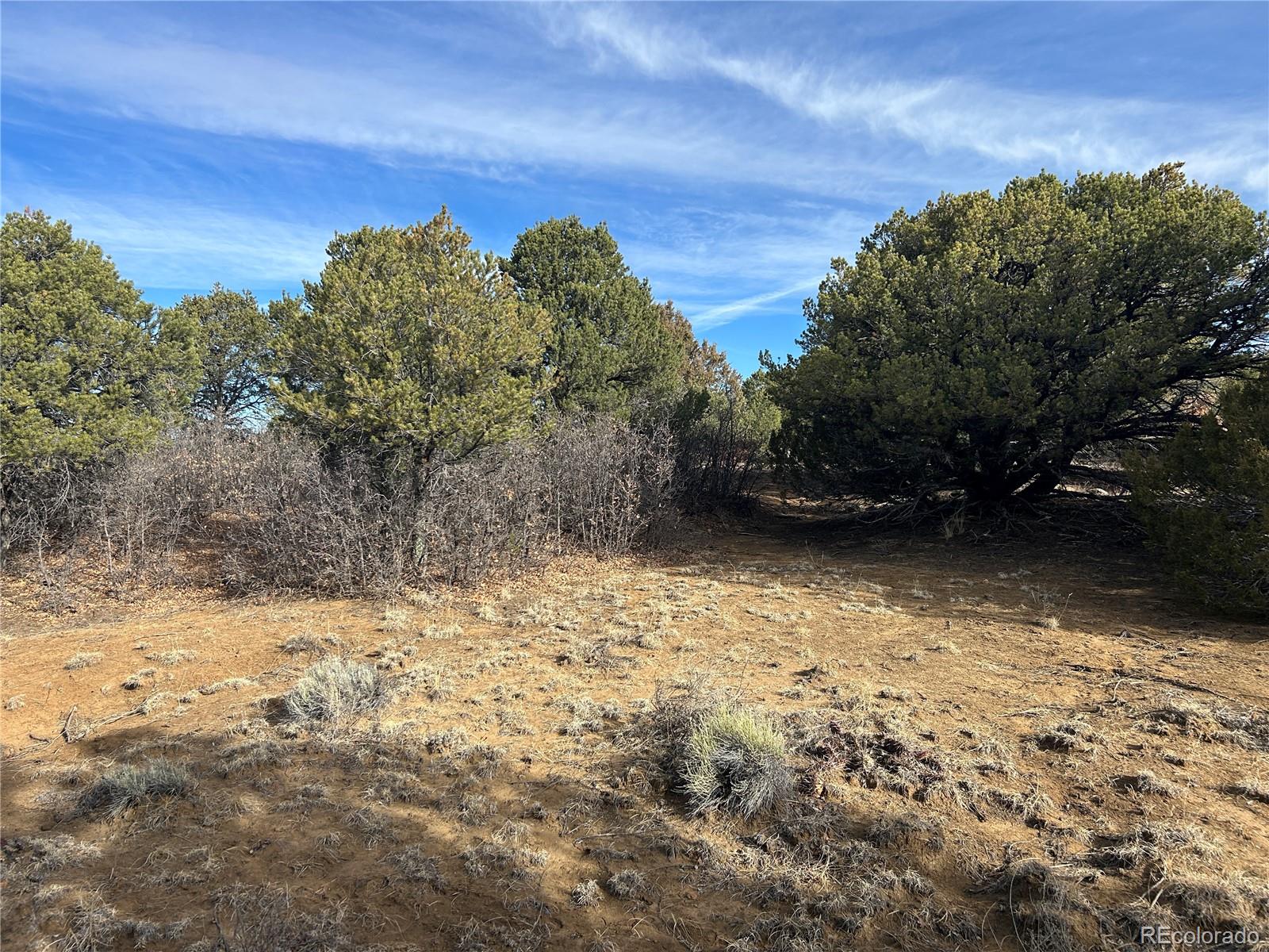 Lot 142 Silver Spurs Ranch Walsenburg, CO 81089 - Photo 24 of 26 a view of a yard with trees in the background