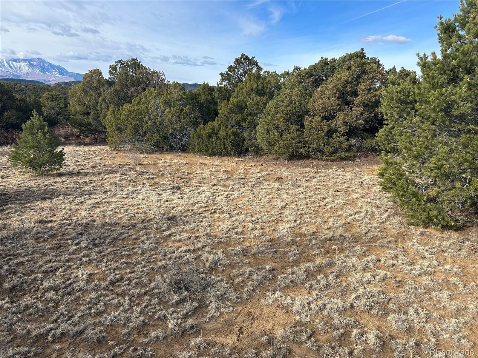 Lot 142 Silver Spurs Ranch Walsenburg, CO 81089 - Photo 4 of 26 a view of a yard with trees