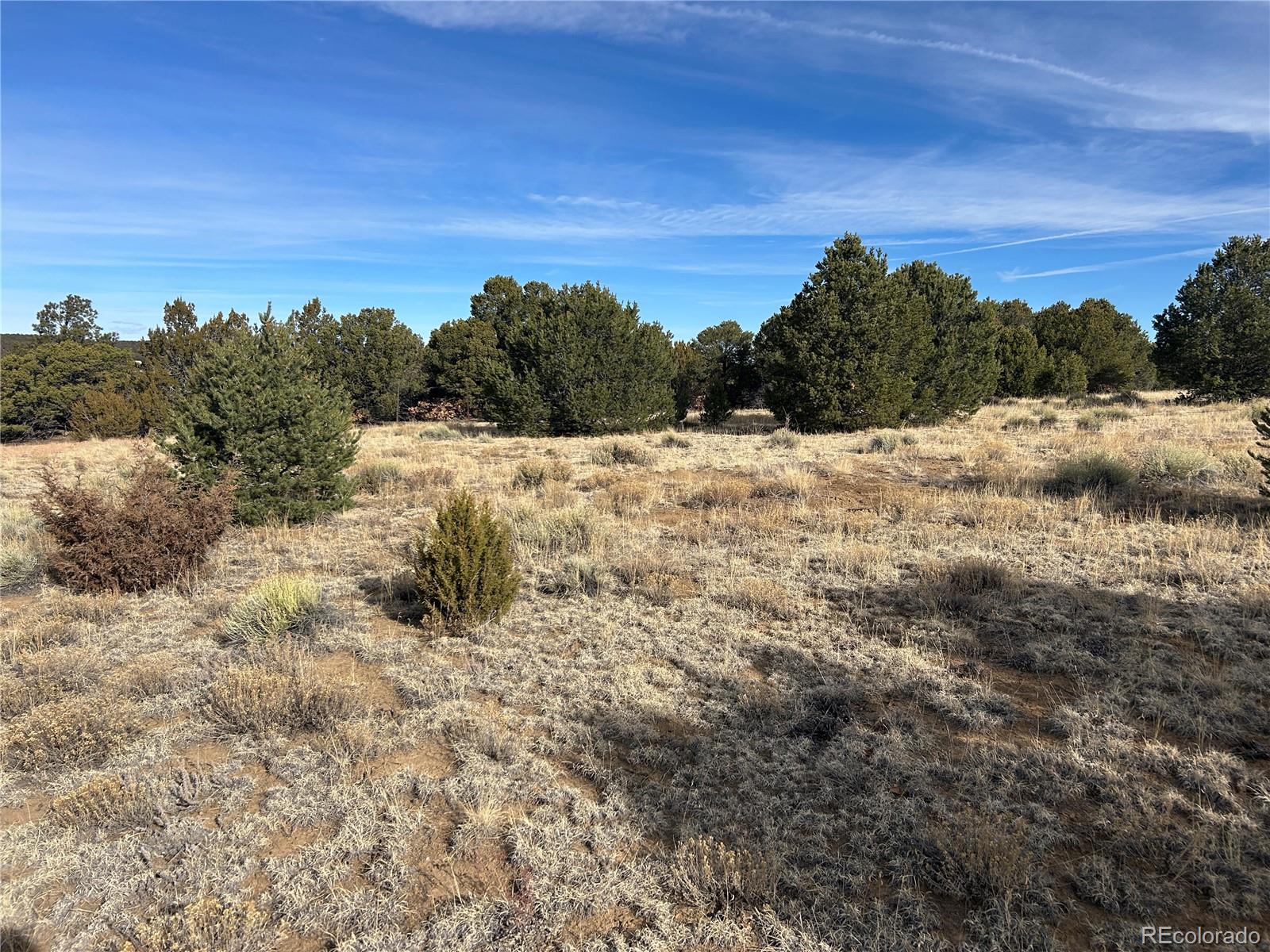 Lot 142 Silver Spurs Ranch Walsenburg, CO 81089 - Photo 6 of 26 a view of a yard