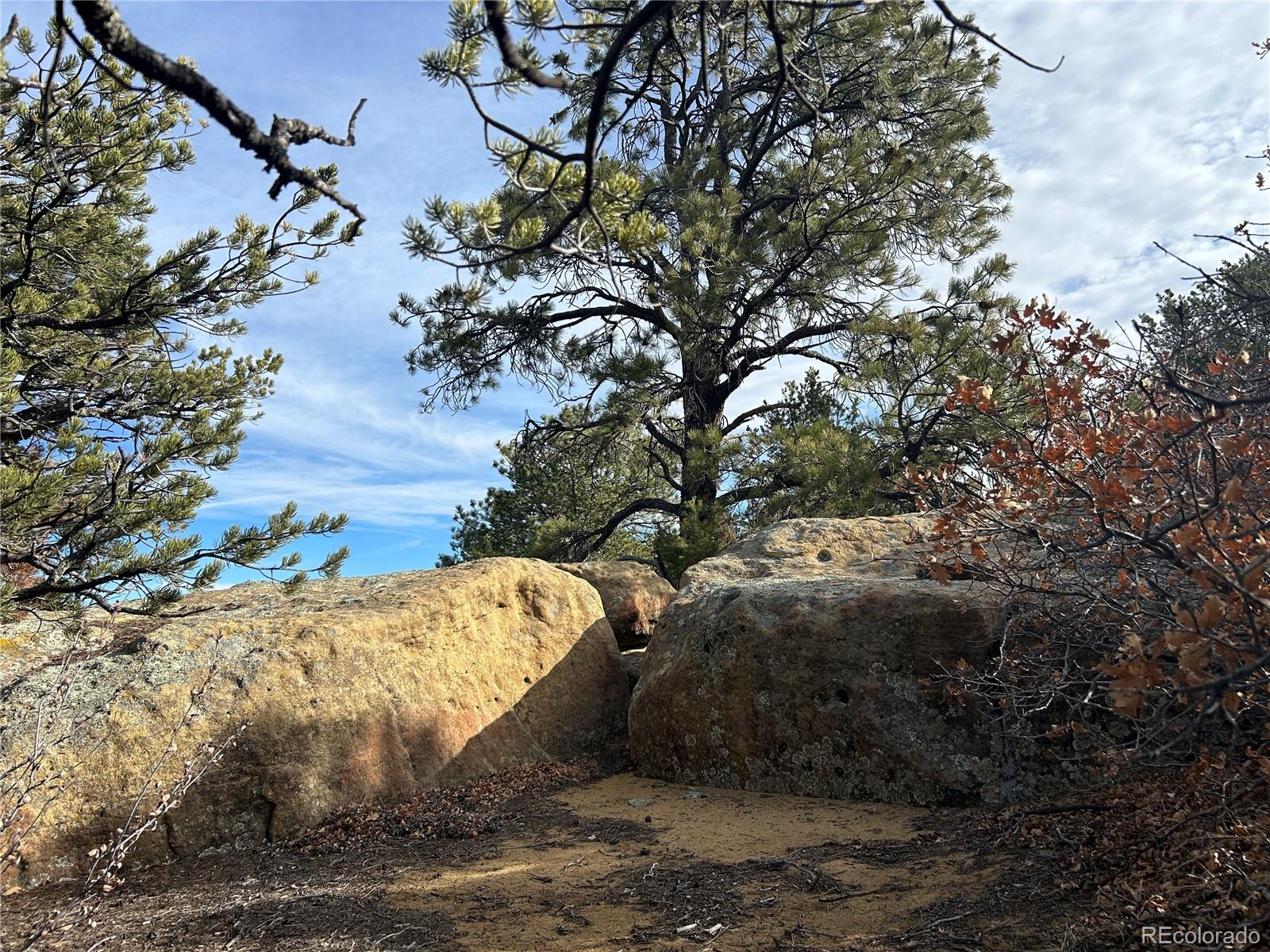 Lot 142 Silver Spurs Ranch Walsenburg, CO 81089 - Photo 8 of 26 a view of a yard