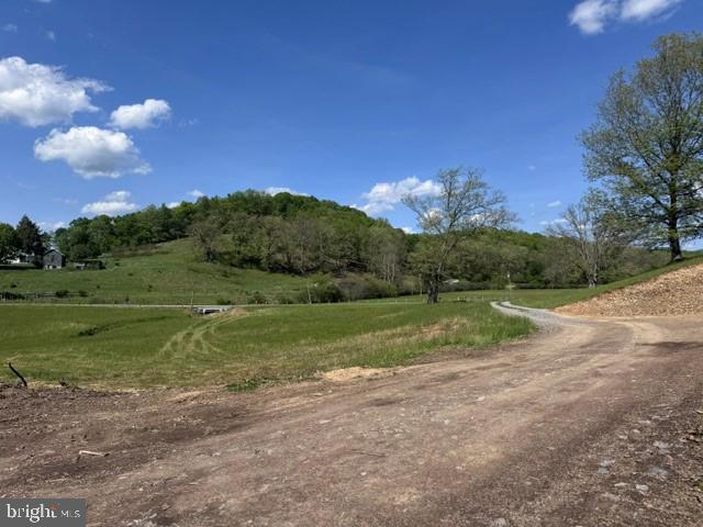 Tbd Shaffers Run Road Mill Creek, WV 26280 - Photo 32 of 43