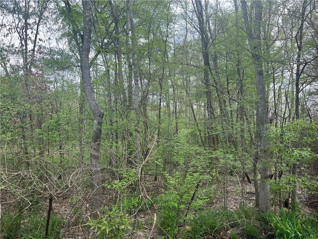 20 M Deville Road Deville, LA 71328 - Photo 11 of 16