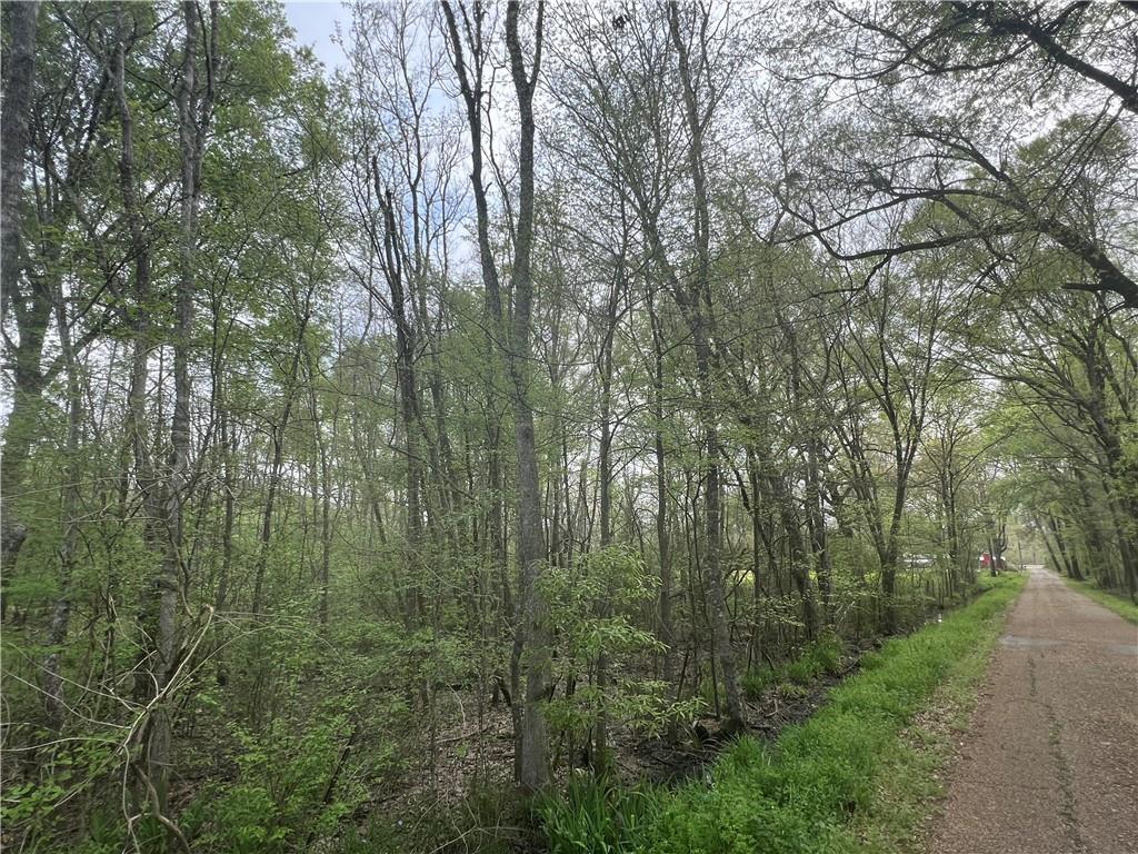 20 M Deville Road Deville, LA 71328 - Photo 12 of 16