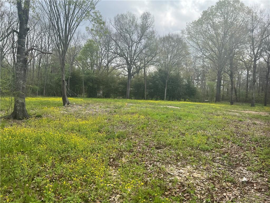 20 M Deville Road Deville, LA 71328 - Photo 2 of 16