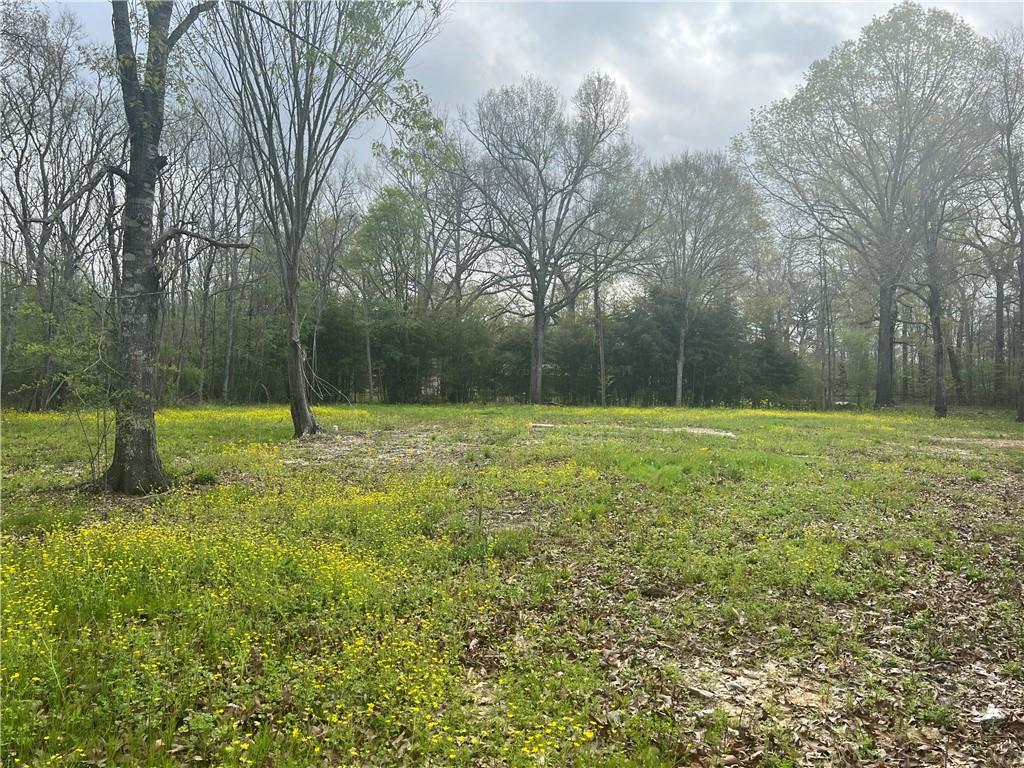 20 M Deville Road Deville, LA 71328 - Photo 3 of 16