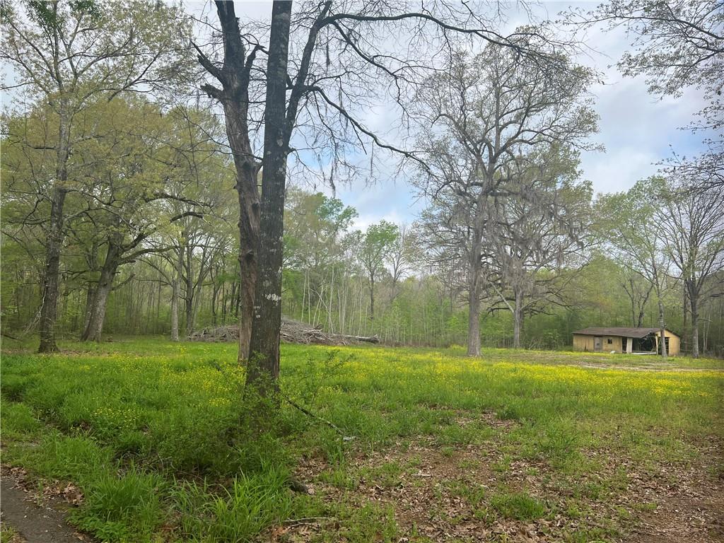 20 M Deville Road Deville, LA 71328 - Photo 6 of 16