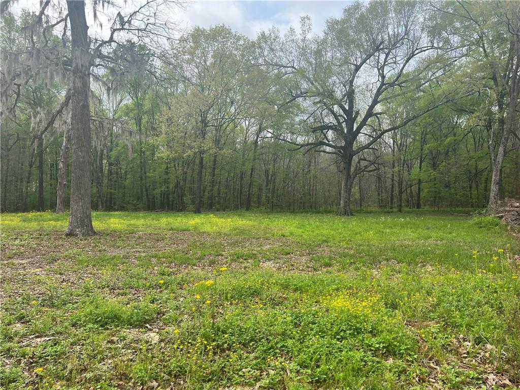 20 M Deville Road Deville, LA 71328 - Photo 7 of 16