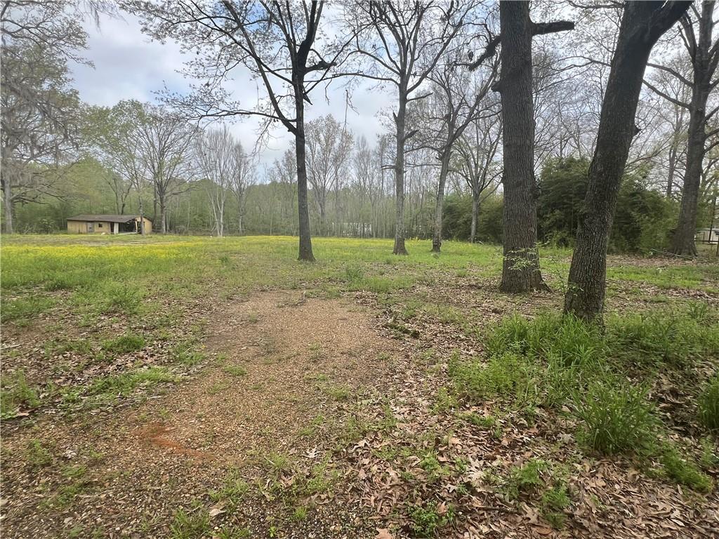 20 M Deville Road Deville, LA 71328 - Photo 8 of 16