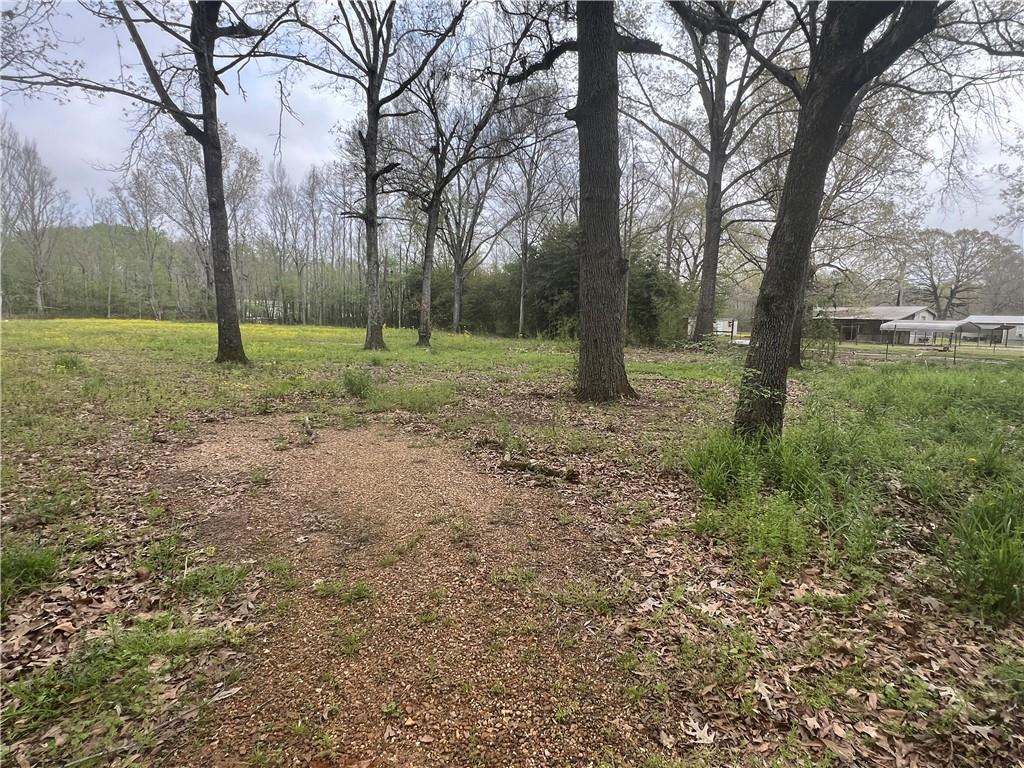 20 M Deville Road Deville, LA 71328 - Photo 9 of 16