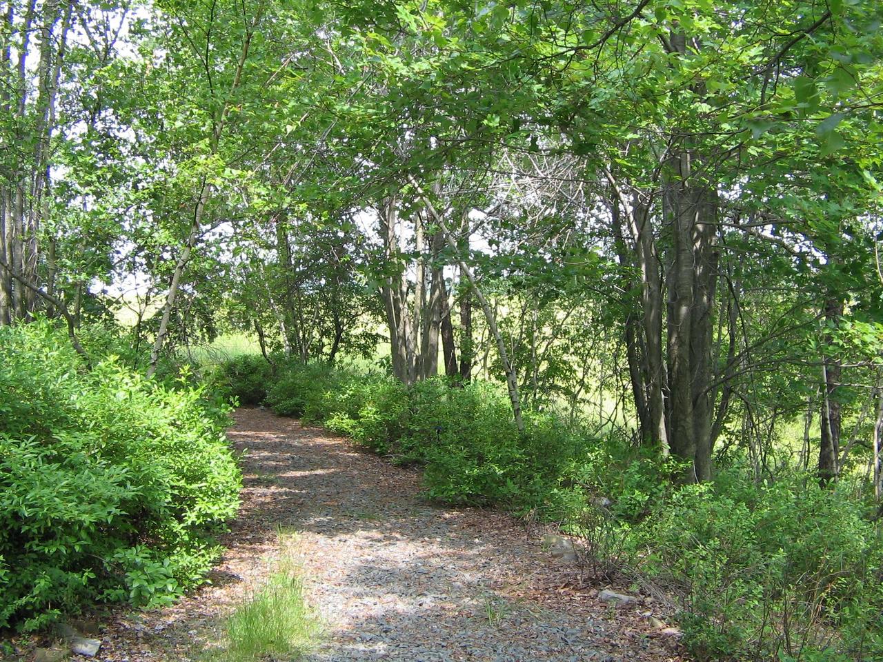 3302 Beaver Dam Road Long Pond, PA 18334 - Photo 4 of 13 Pathway