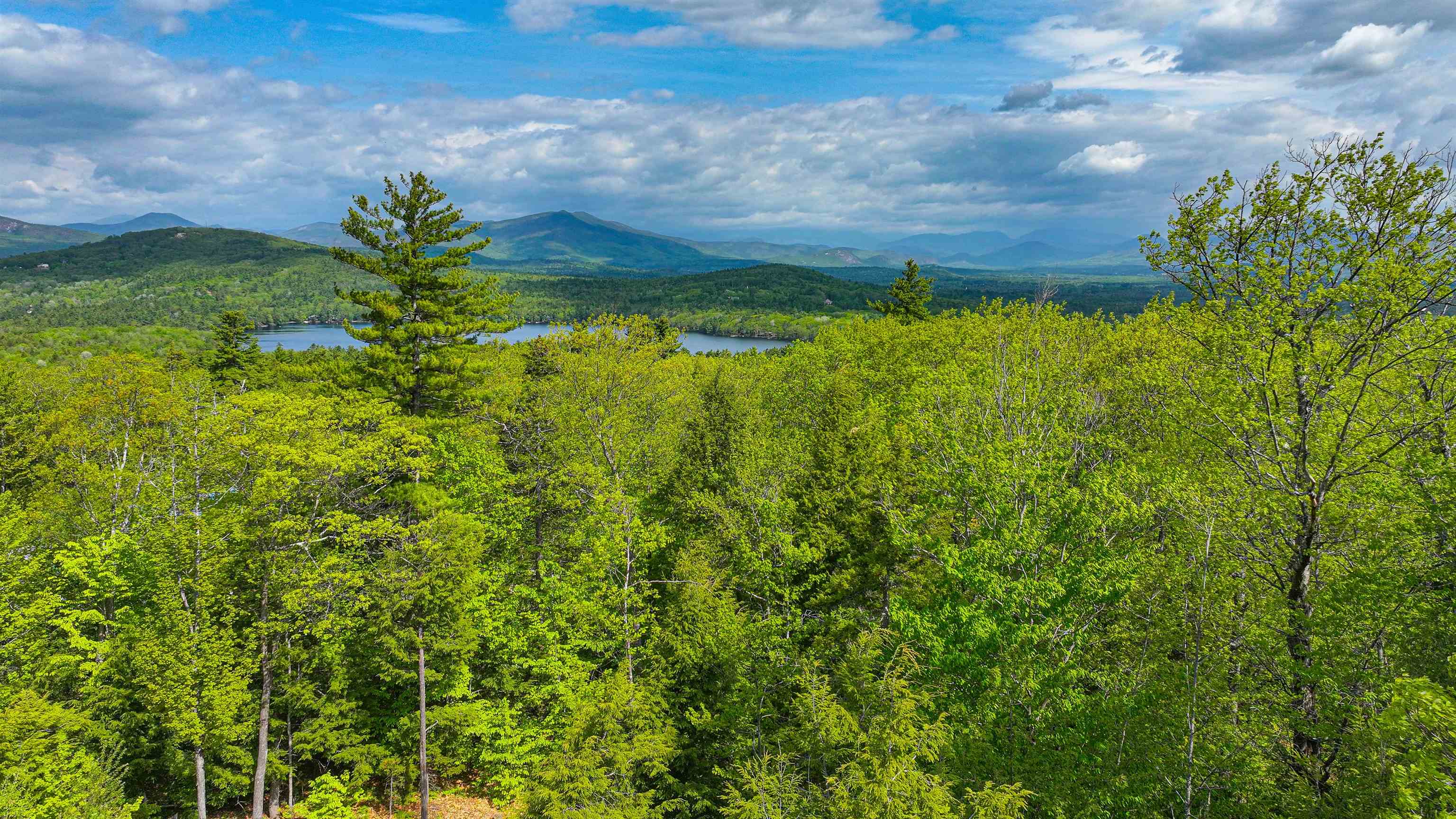 44 Regent Hill Road, Unit LOT # 113 Conway, NH 03818 - Photo 10 of 14