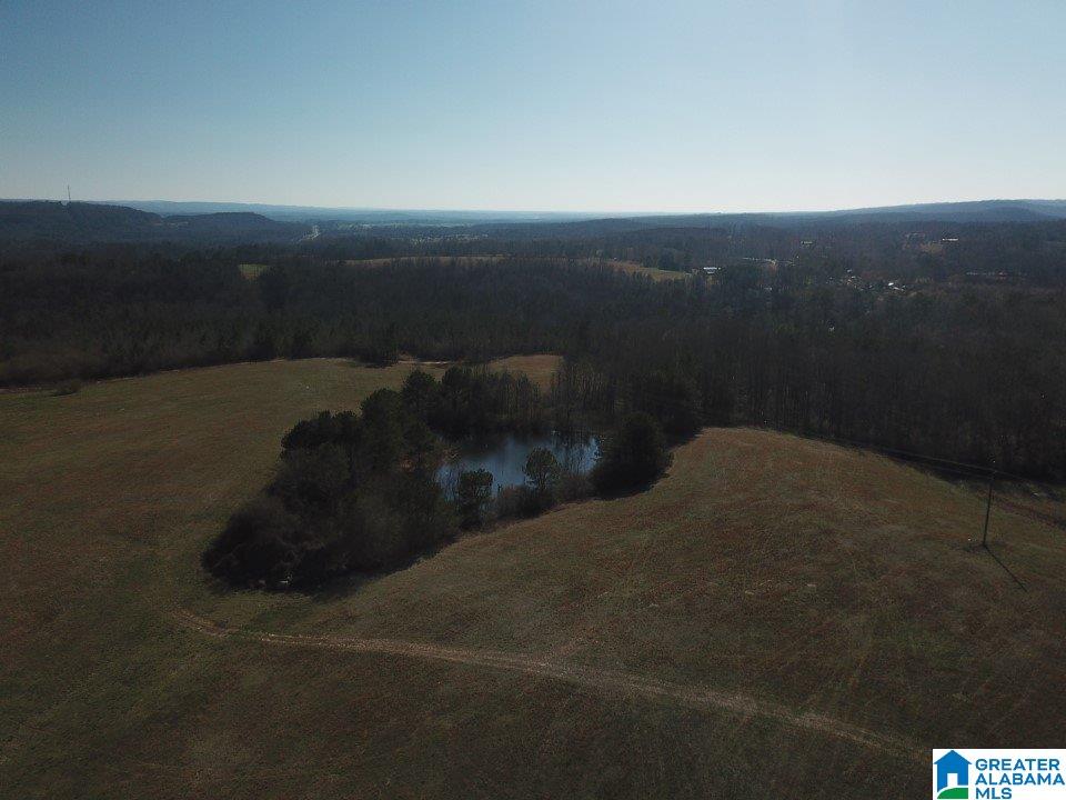0 Posey Road, Unit TRACT 2 Blountsville, AL 35031 - Photo 8 of 9