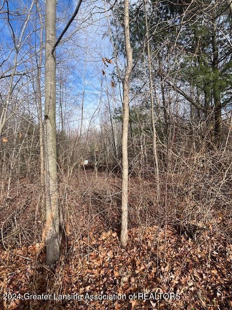1654 Gary Road Montrose, MI 48457 - Photo 22 of 25 IMG_7612