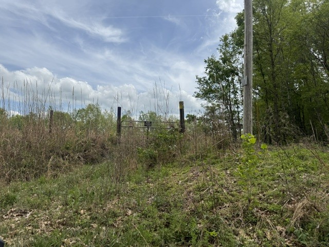 637 Hargis Road Bumpus Mills, TN 37028 - Photo 14 of 17