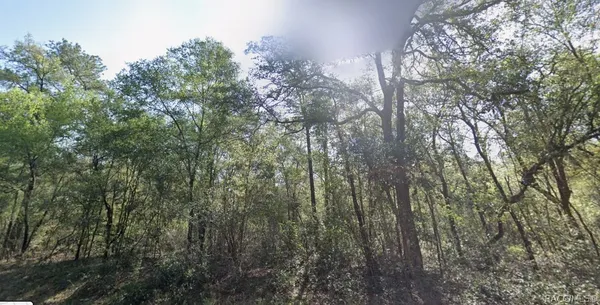 $15,500 | 9333 North Kirkland Terrace, Dunnellon, FL 34434
