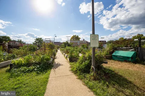 a view of a roadside