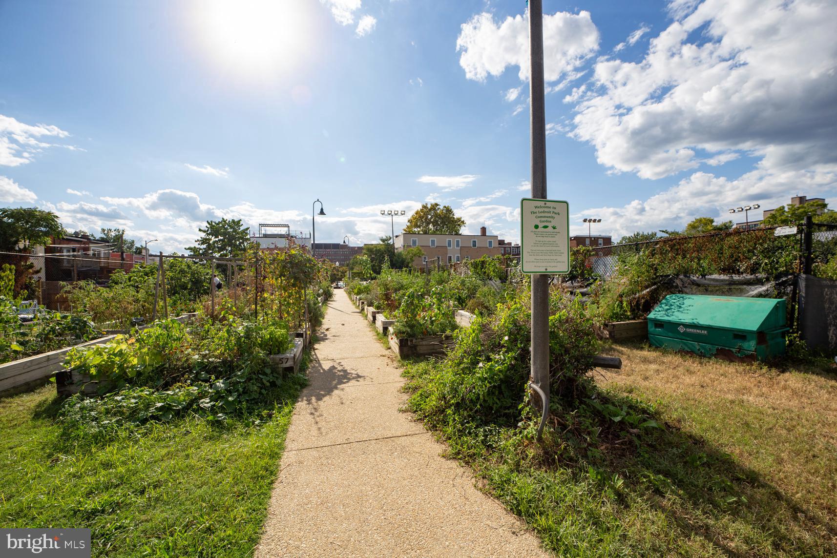 1823 4th Street Northwest Washington, DC 20001 - Photo 46 of 48 a view of a city with flower plants