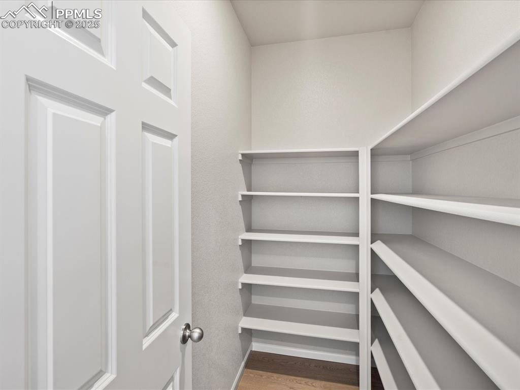 10648 Waterloo Drive Peyton, CO 80831 - Photo 12 of 36 a view of walk in closet with empty racks