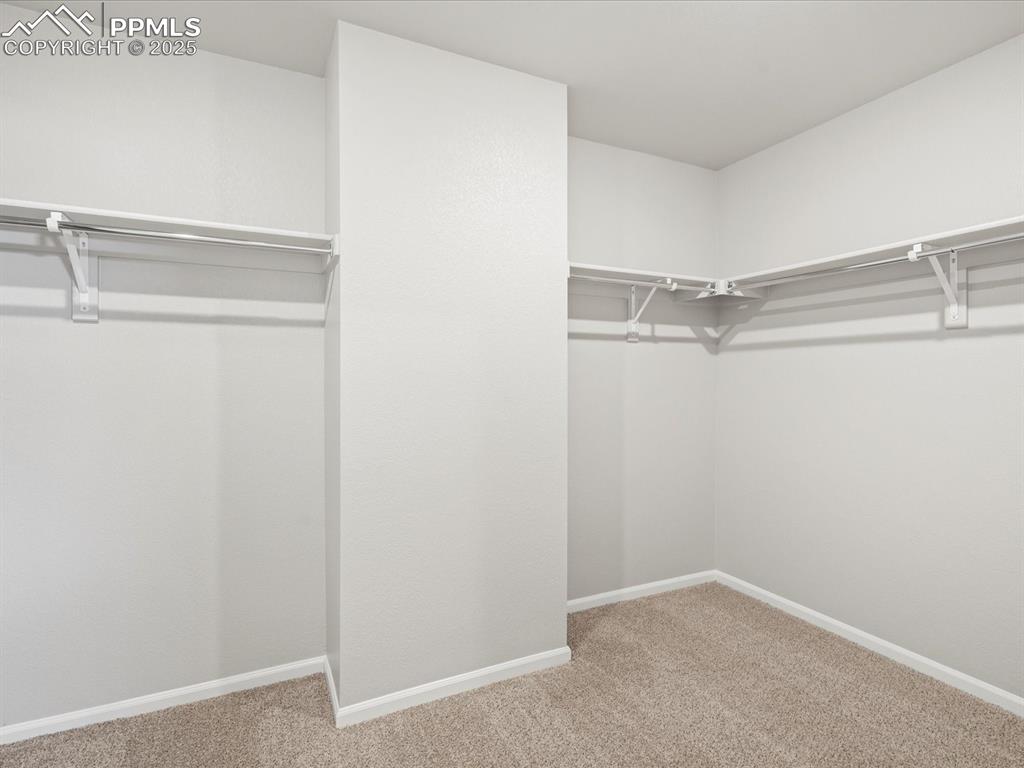 10648 Waterloo Drive Peyton, CO 80831 - Photo 28 of 36 a view of an empty walk in closet