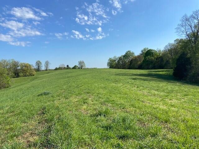 2451 Sardis Road Mount Olivet, KY 41064 - Photo 5 of 42