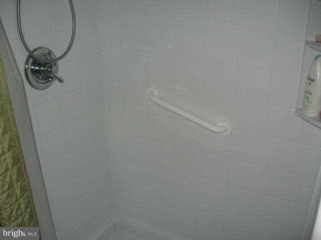 17211 Hunter Green Road Upperco, MD 21155 - Photo 14 of 28 Bath (Master)