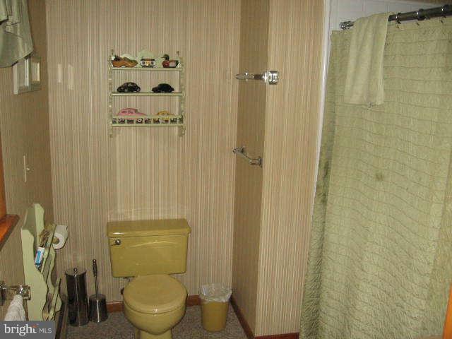 17211 Hunter Green Road Upperco, MD 21155 - Photo 15 of 28 Bath (Master)
