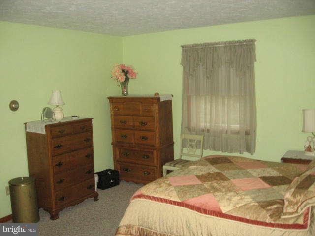 17211 Hunter Green Road Upperco, MD 21155 - Photo 10 of 28 Bedroom (Master)